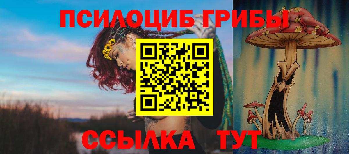 Галлюциногенные грибы Cubensis Кизилюрт